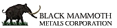 https://blackmammothmetals.com/