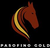 https://pasofinogold.com/home/default.aspx