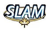 https://www.slamexploration.com/