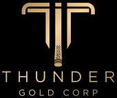 https://thundergoldcorp.com/ https://thundergoldcorp.com/
