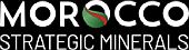 https://www.moroccosm.com/