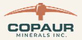 https://copaur.com/